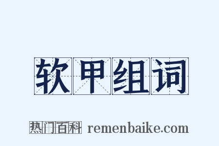 软甲组词是什么意思的图片